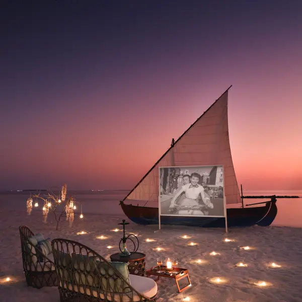 Bohemian Cinema Under the Stars Experience