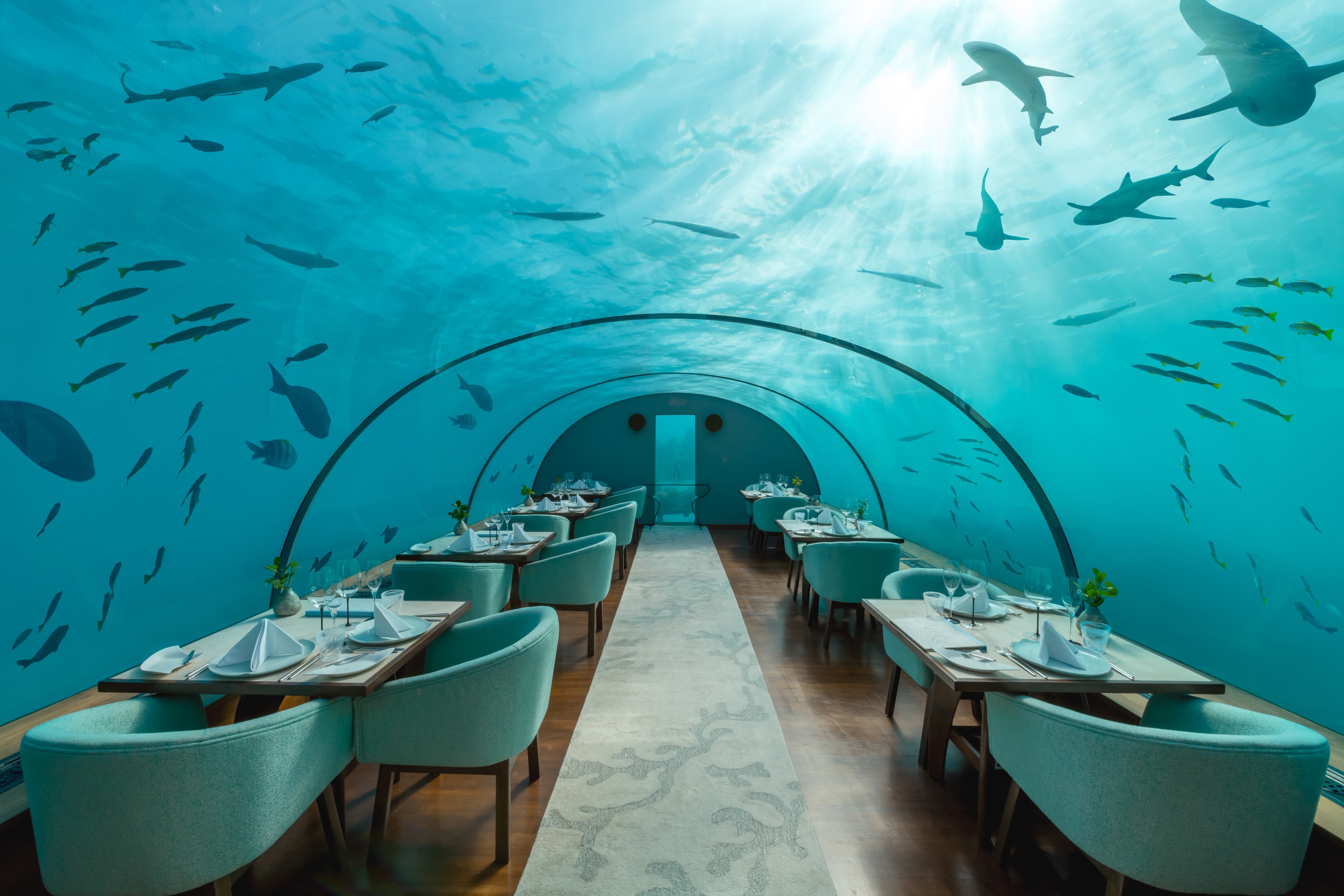 Conrad Maldives Rangali Island - ITHAA UNDERSEA RESTAURANT