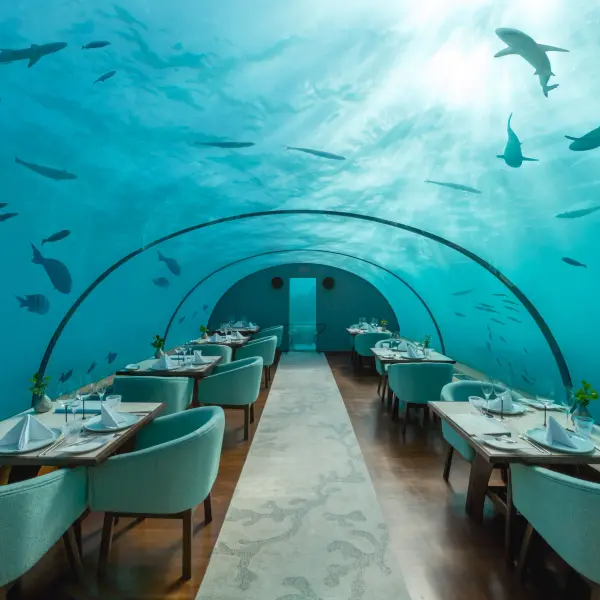 Conrad Maldives Rangali Island - ITHAA UNDERSEA RESTAURANT