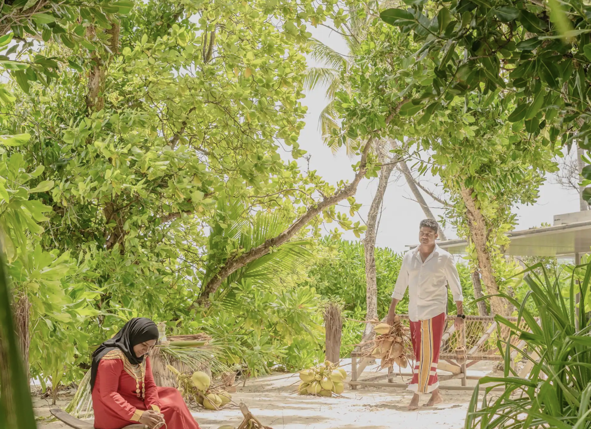 Coconut Reverence at Alila Kothaifaru Maldives