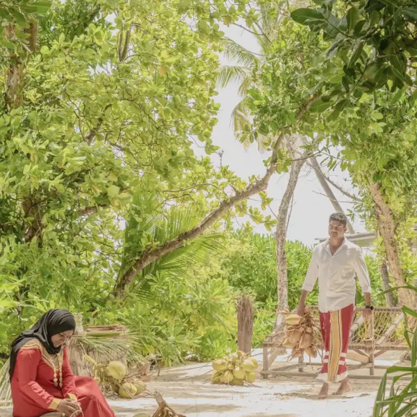 Coconut Reverence at Alila Kothaifaru Maldives