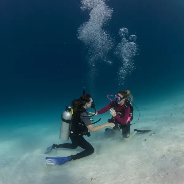 Diving at Gili Lankanfushi