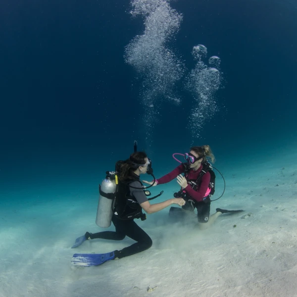 Diving at Gili Lankanfushi