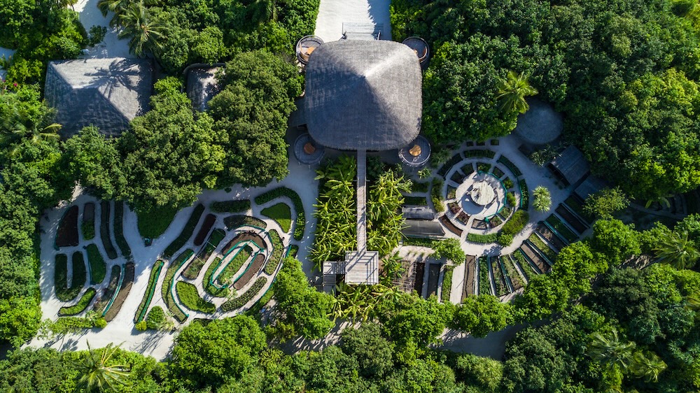 Leaf - Six Senses Laamu