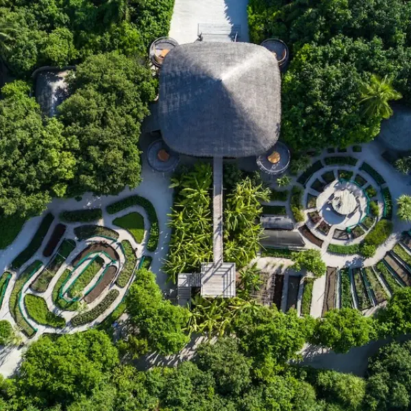 Leaf - Six Senses Laamu