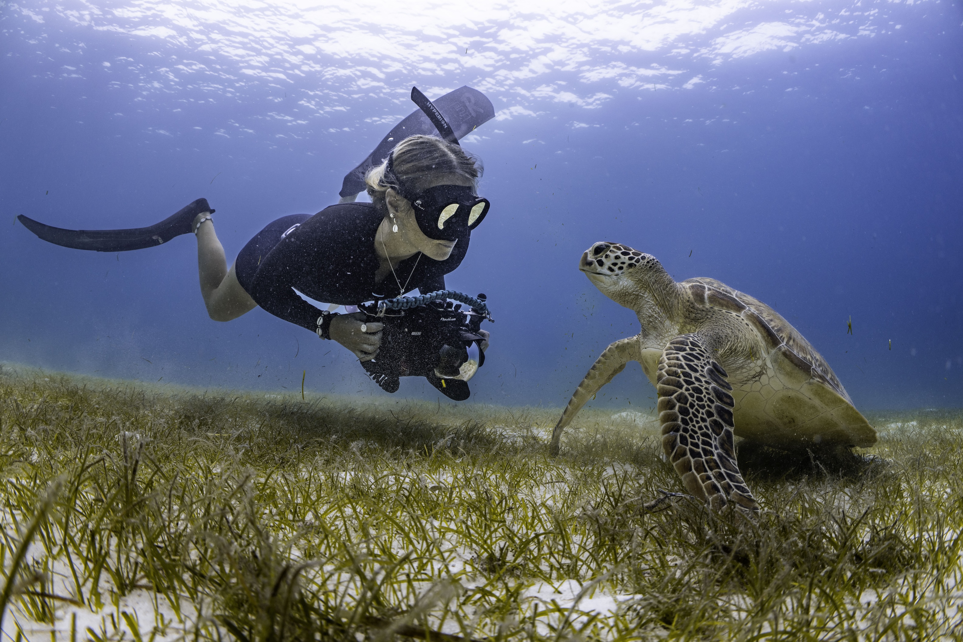 Snorkeling at Le Meridien Maldives