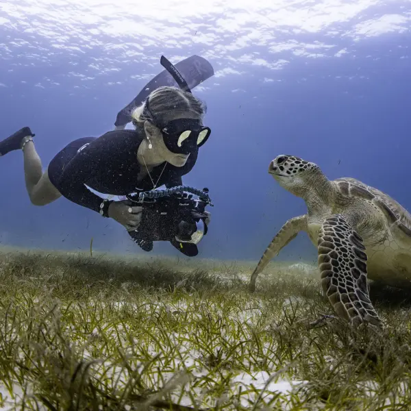 Snorkeling at Le Meridien Maldives