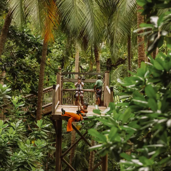 Ziplining Experience at Soneva Fushi