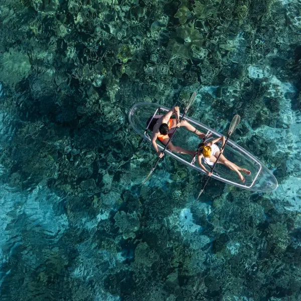 Glass Kayaks at The Halcyon Maldives