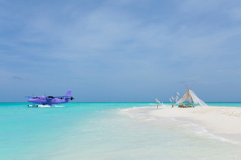 The Nautilus - Sandbank