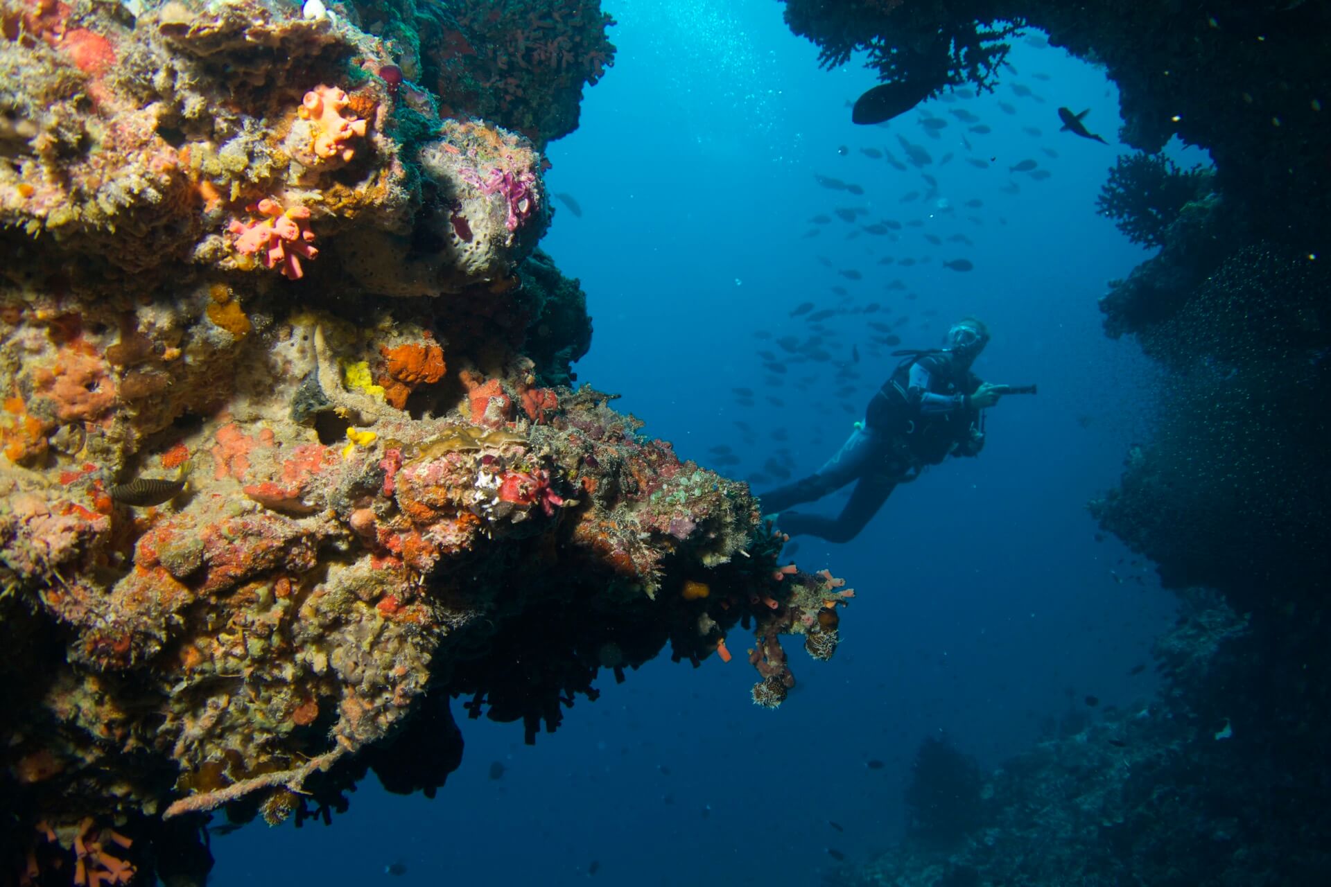 Baros Maldives Diving Water Sports