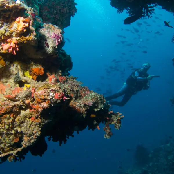 Baros Maldives Diving Water Sports
