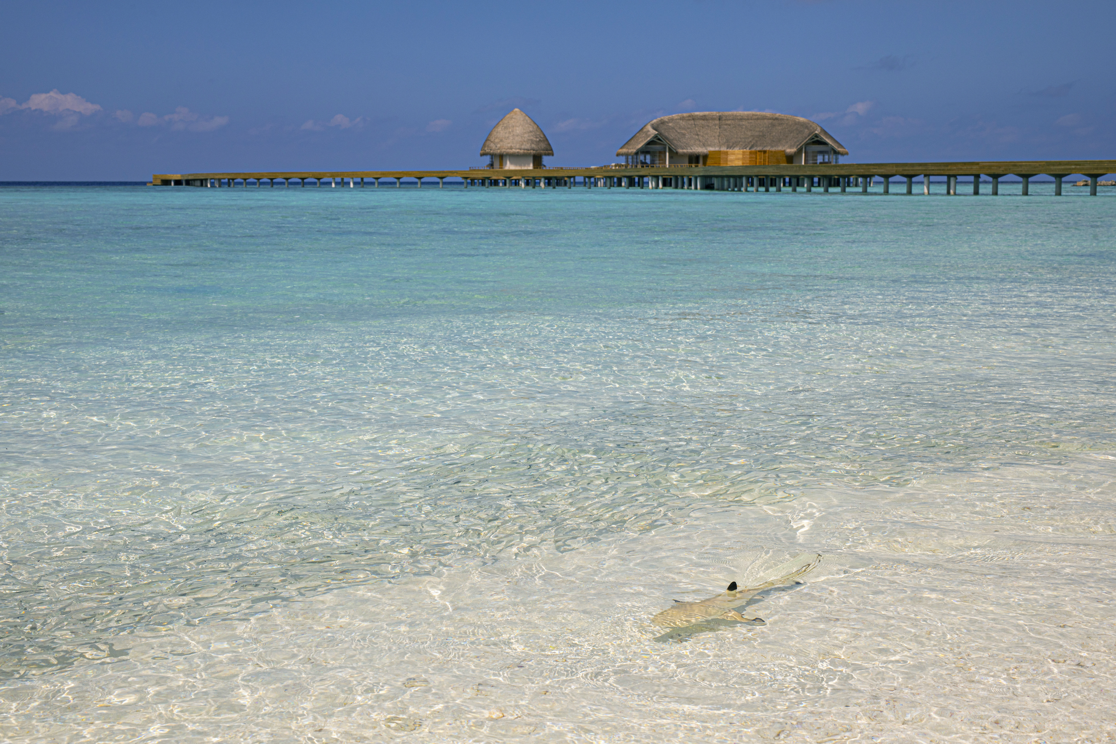 Emerald Faarufushi Resort & Spa Lagoon