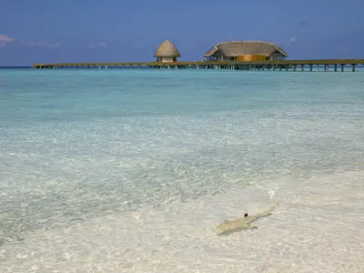 Emerald Faarufushi Resort & Spa Lagoon