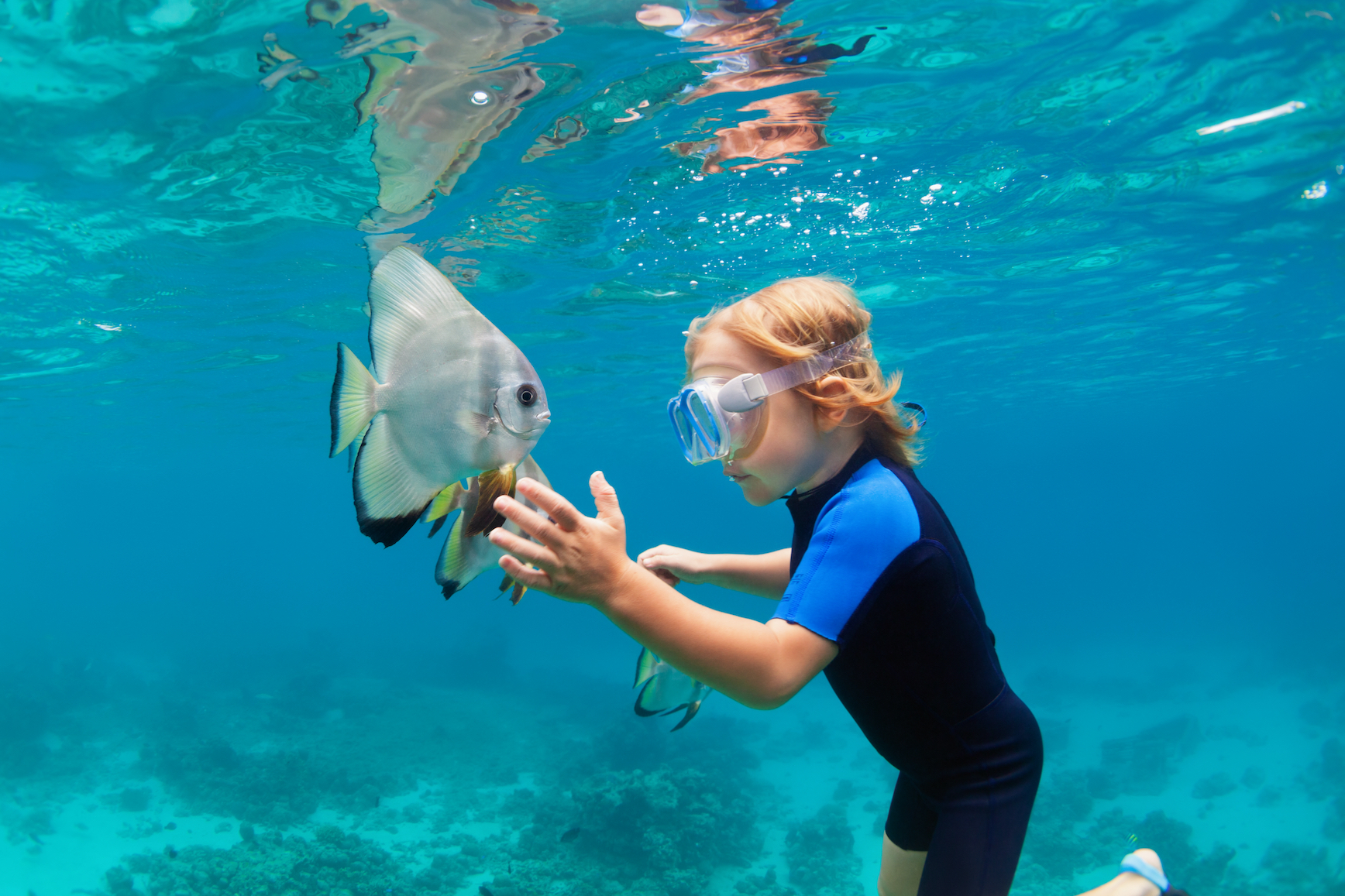 Emerald Faarufushi Resort & Spa Kids Interaction with Bat Fish