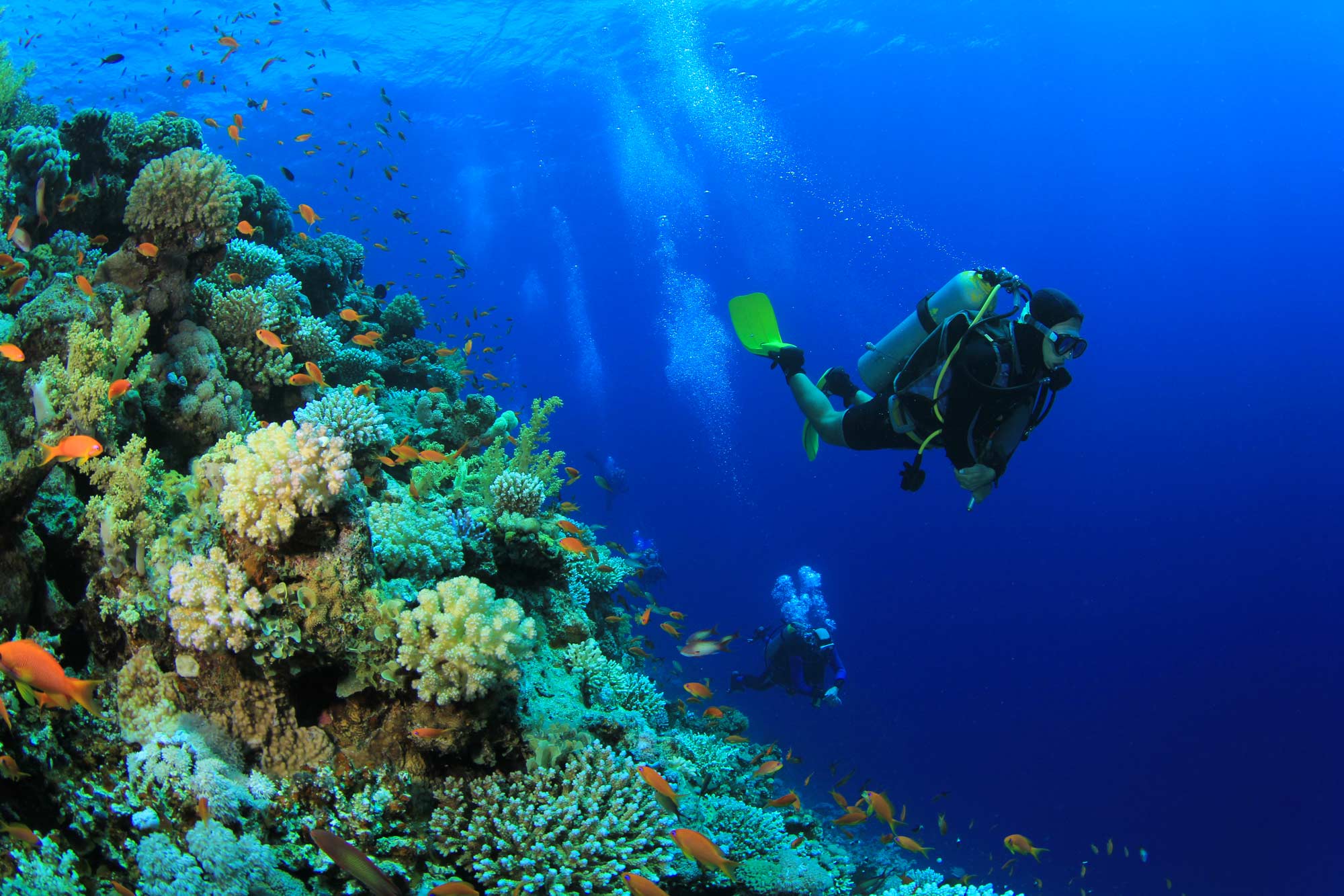 Emerald Maldives Resort & Spa Diving Water Sports