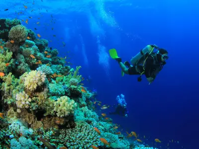 Emerald Maldives Resort & Spa Diving Water Sports