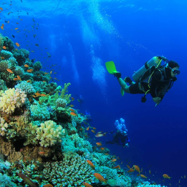 Emerald Maldives Resort & Spa Diving Water Sports
