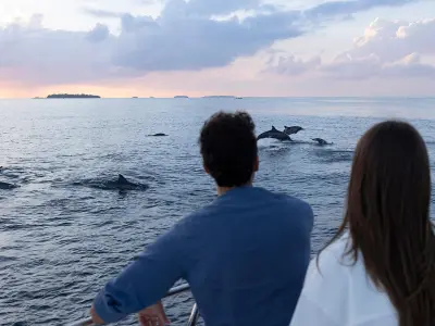 Huvafen Fushi Maldives - Dolphin Cruise