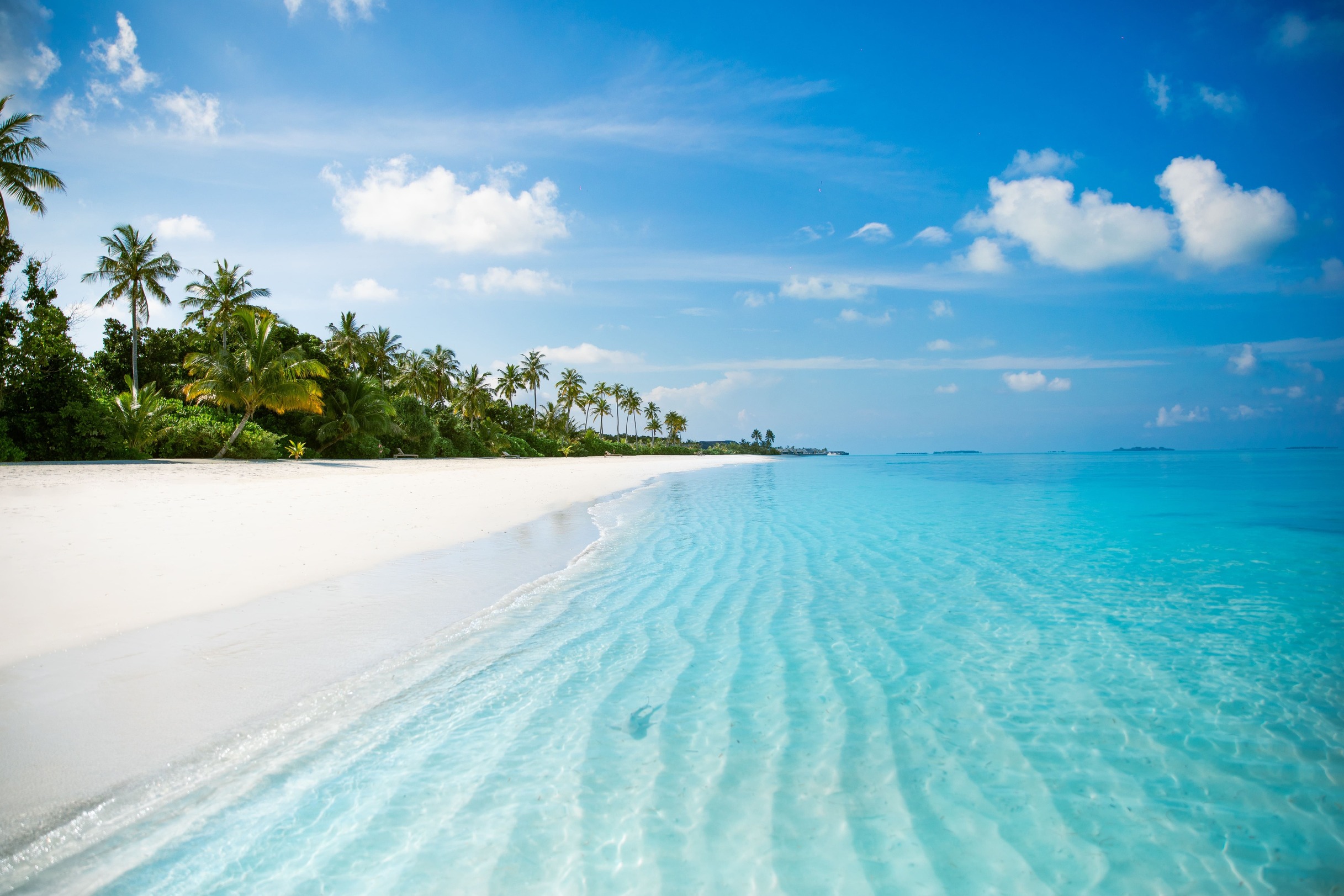 Jawakara Islands Maldives - Beach