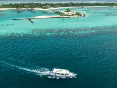 Sunset Dolphin Cruise Aerial - Le Méridien Maldives Resort & Spa
