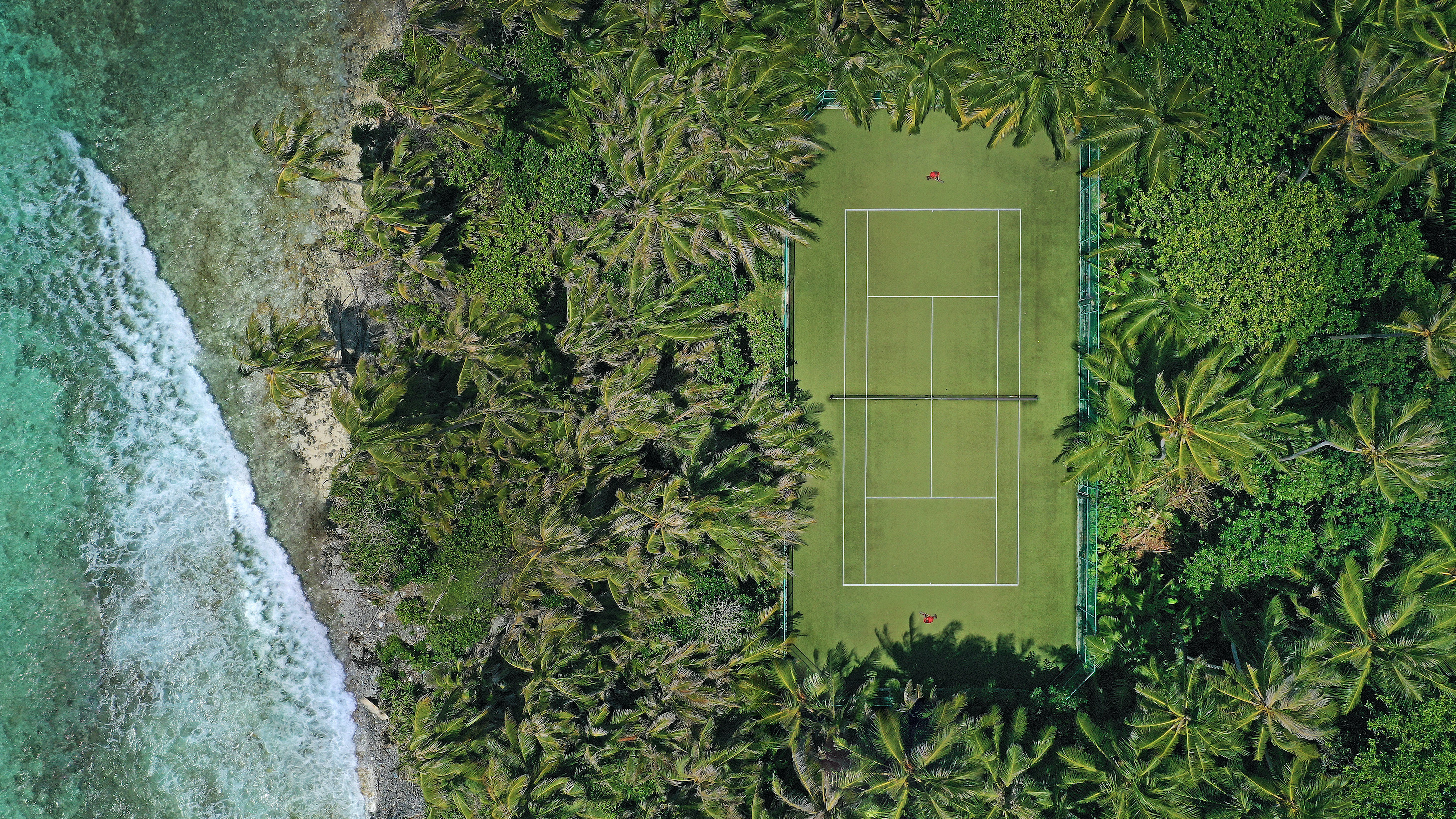 Tenis