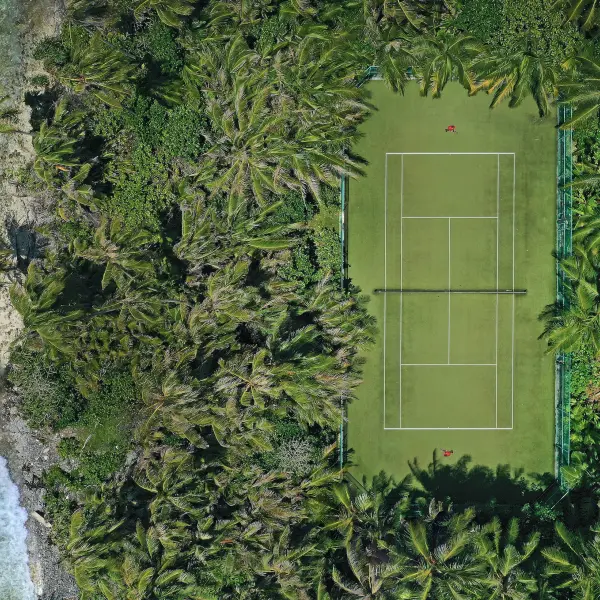 Tenis