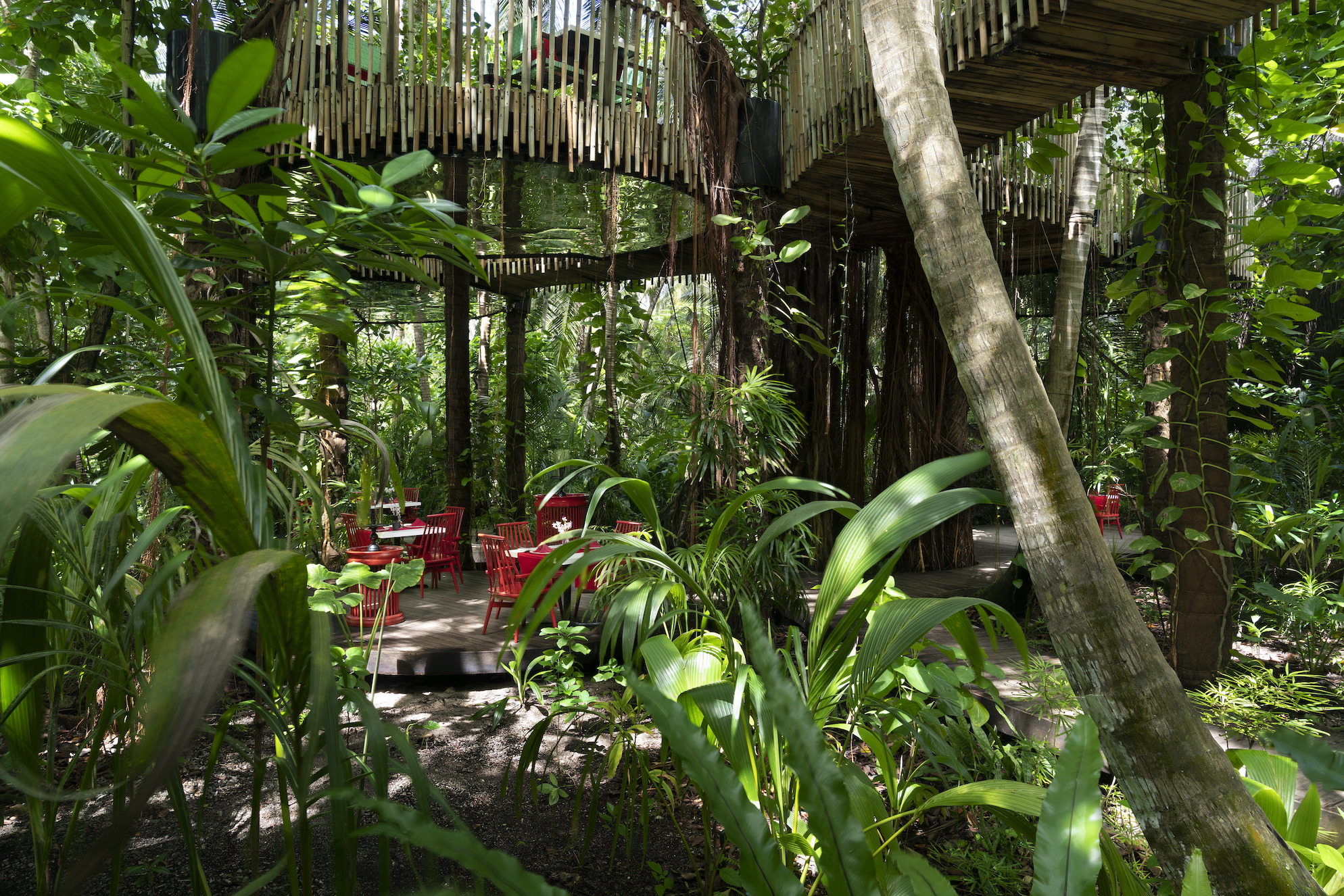 Treetop Dining Niyama Private Islands