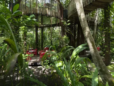 Treetop Dining Niyama Private Islands