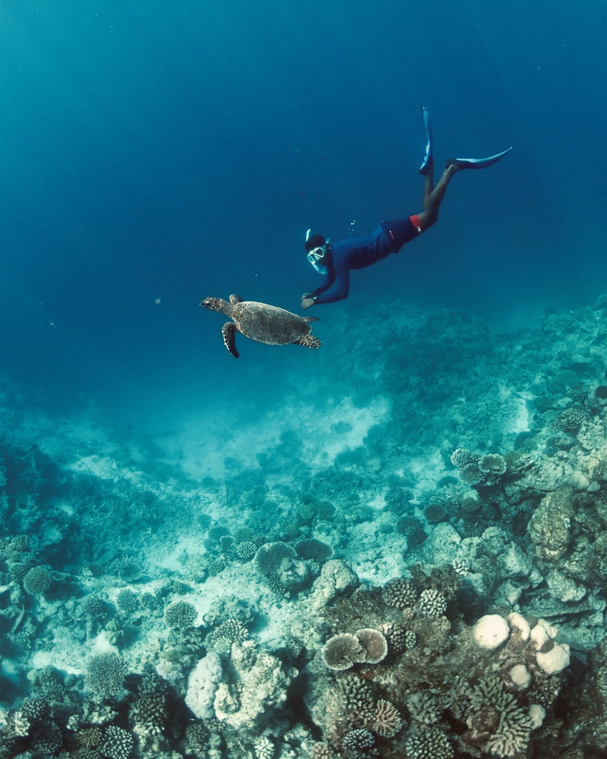 Turtle Quest Niyama Private Islands