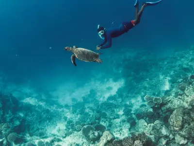 Turtle Quest Niyama Private Islands