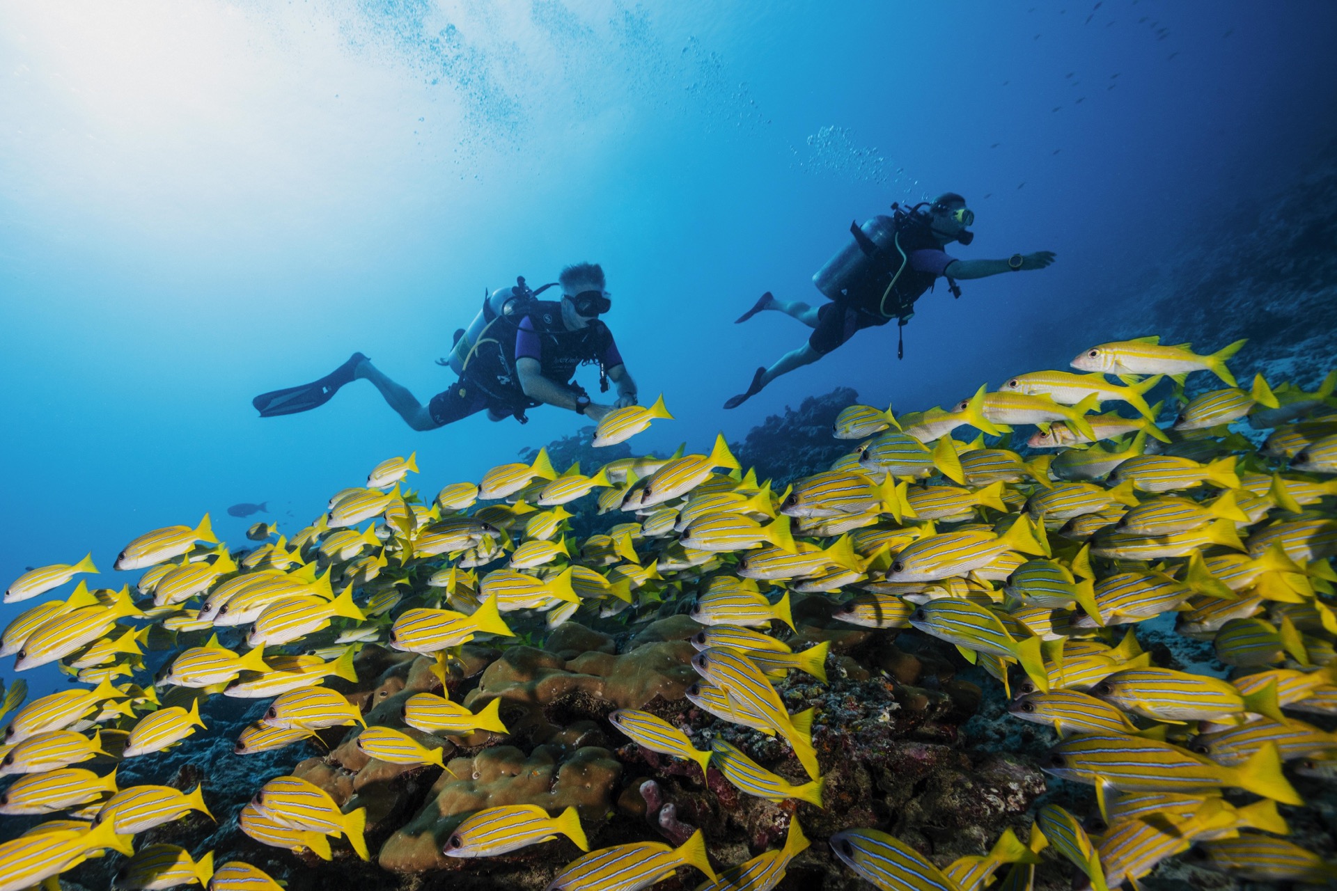 One & Only Reethi Rah - Diving