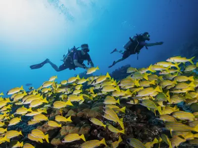 One & Only Reethi Rah - Diving