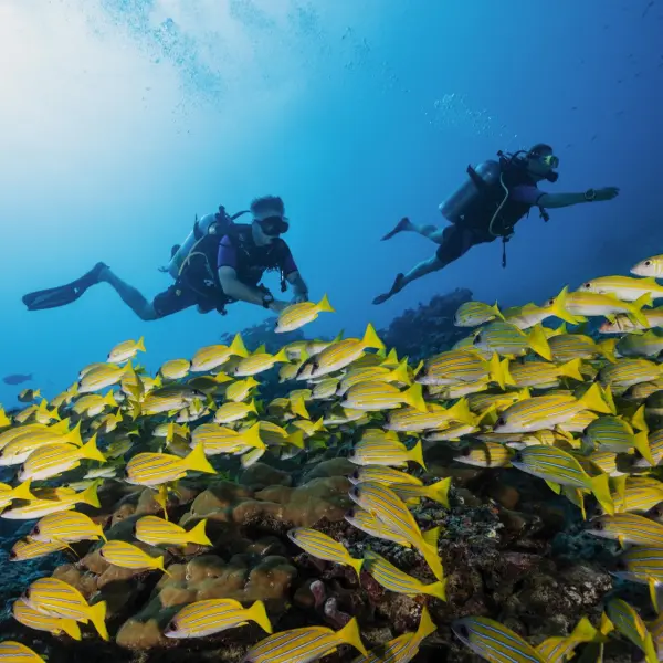 One & Only Reethi Rah - Diving