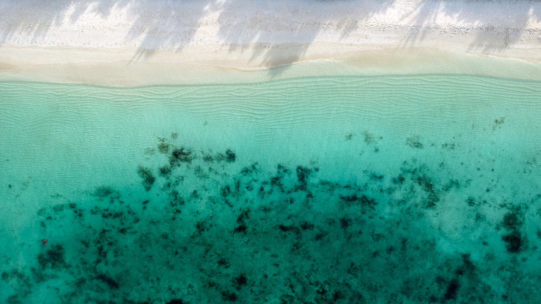 Six Senses Kanuhura - Shore Aerial