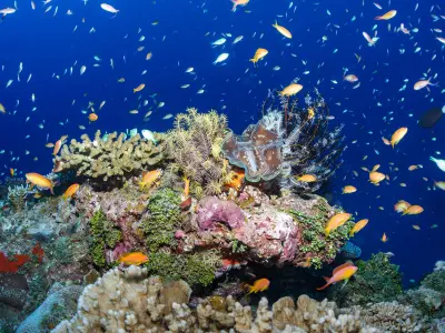 Six Senses Laamu House Reef