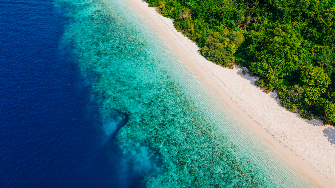 SONEVA FUSHI House Reef Aerial
