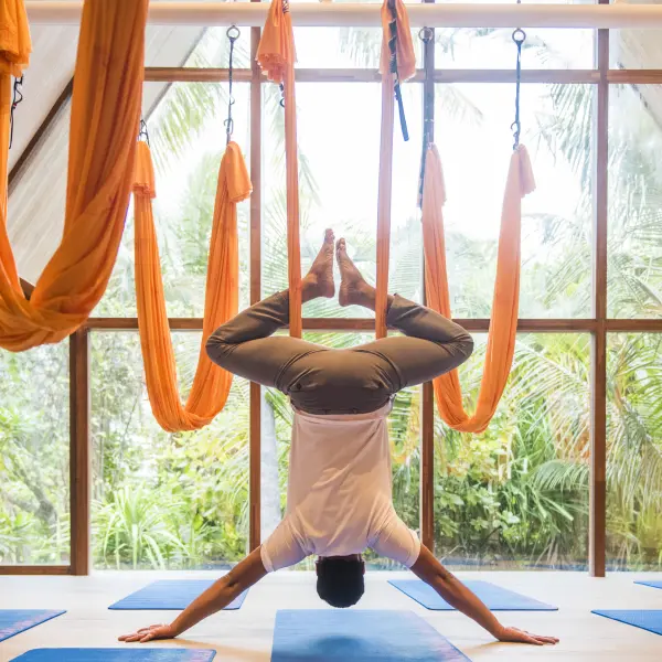 Colección yoga