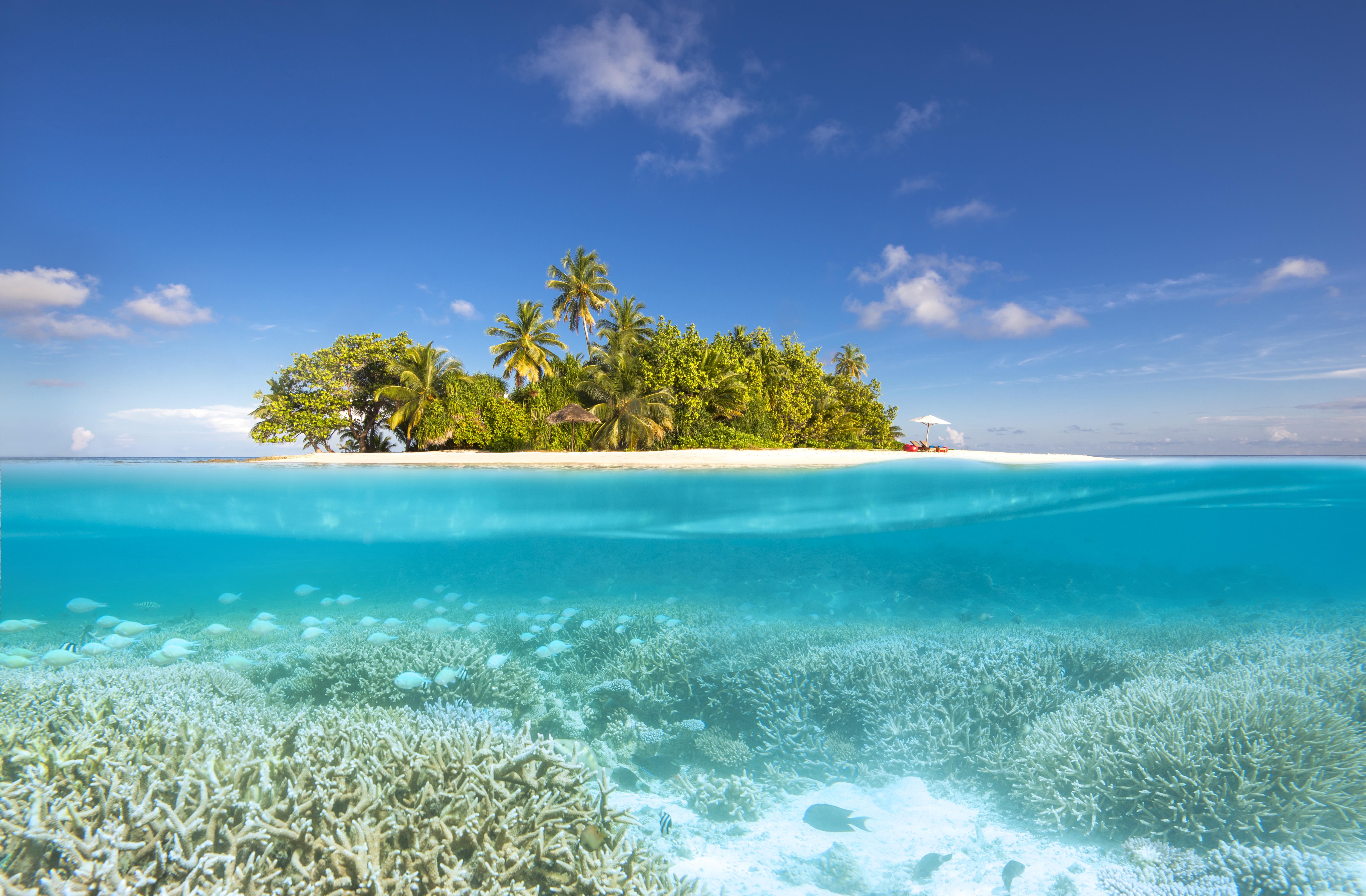 W Maldives - Gathaafushi Private Island Reef