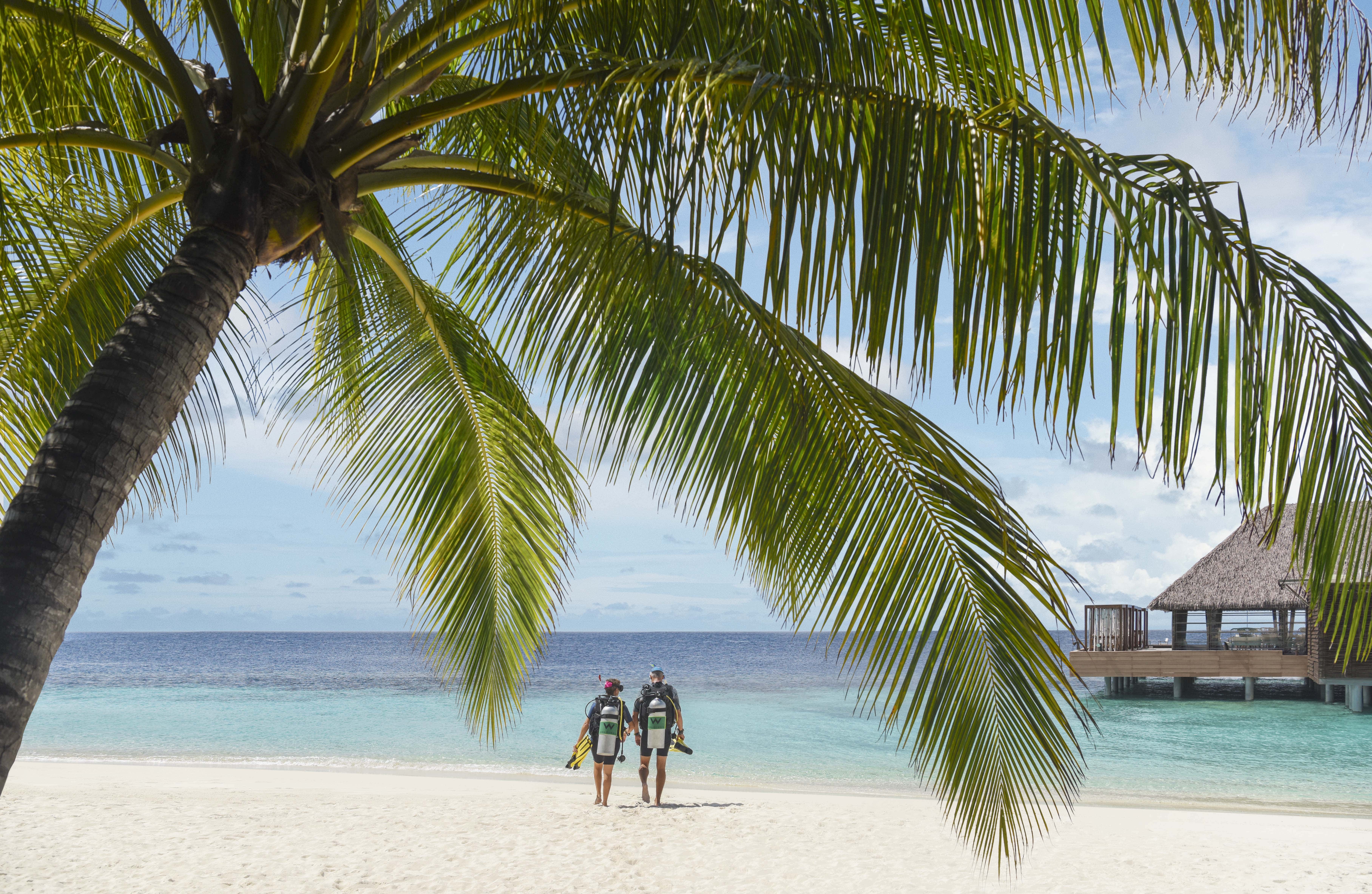 W Maldives -  Divers