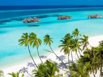 Gili Lankanfushi Flora and Fauna