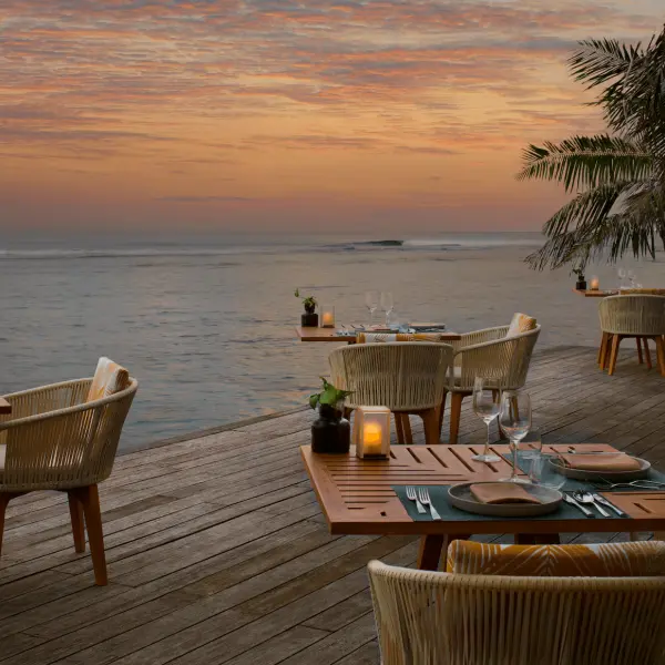 Cumin Deck View