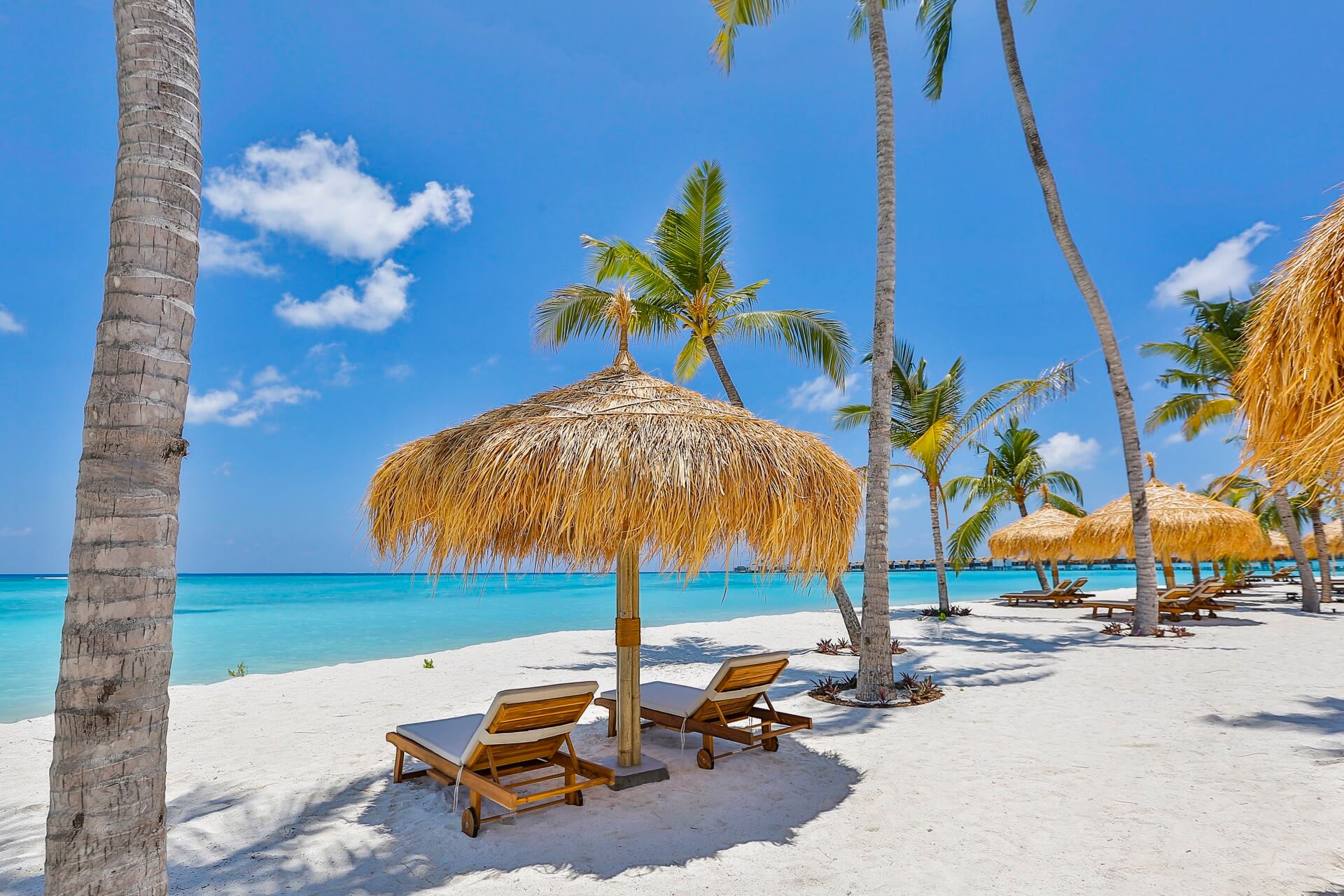 Beach Club Emerald Maldives Resort & Spa