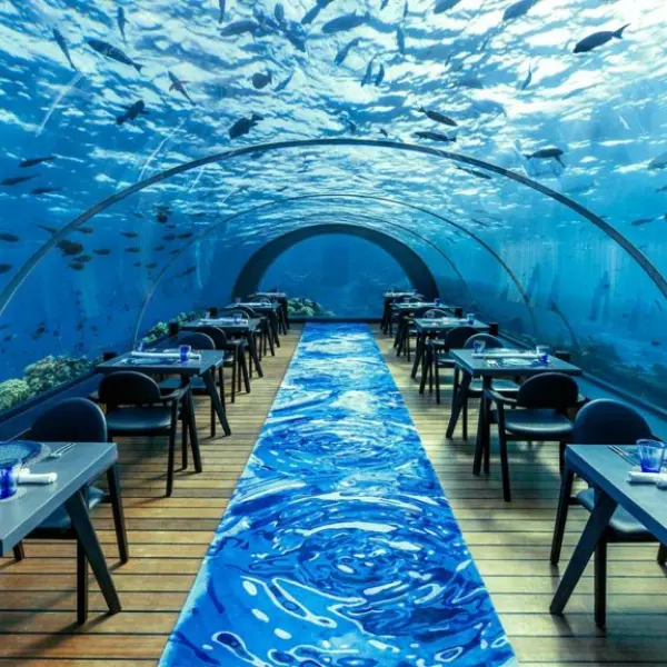 5.8 Undersea Restaurant Hurawalhi Kudadoo Private Island