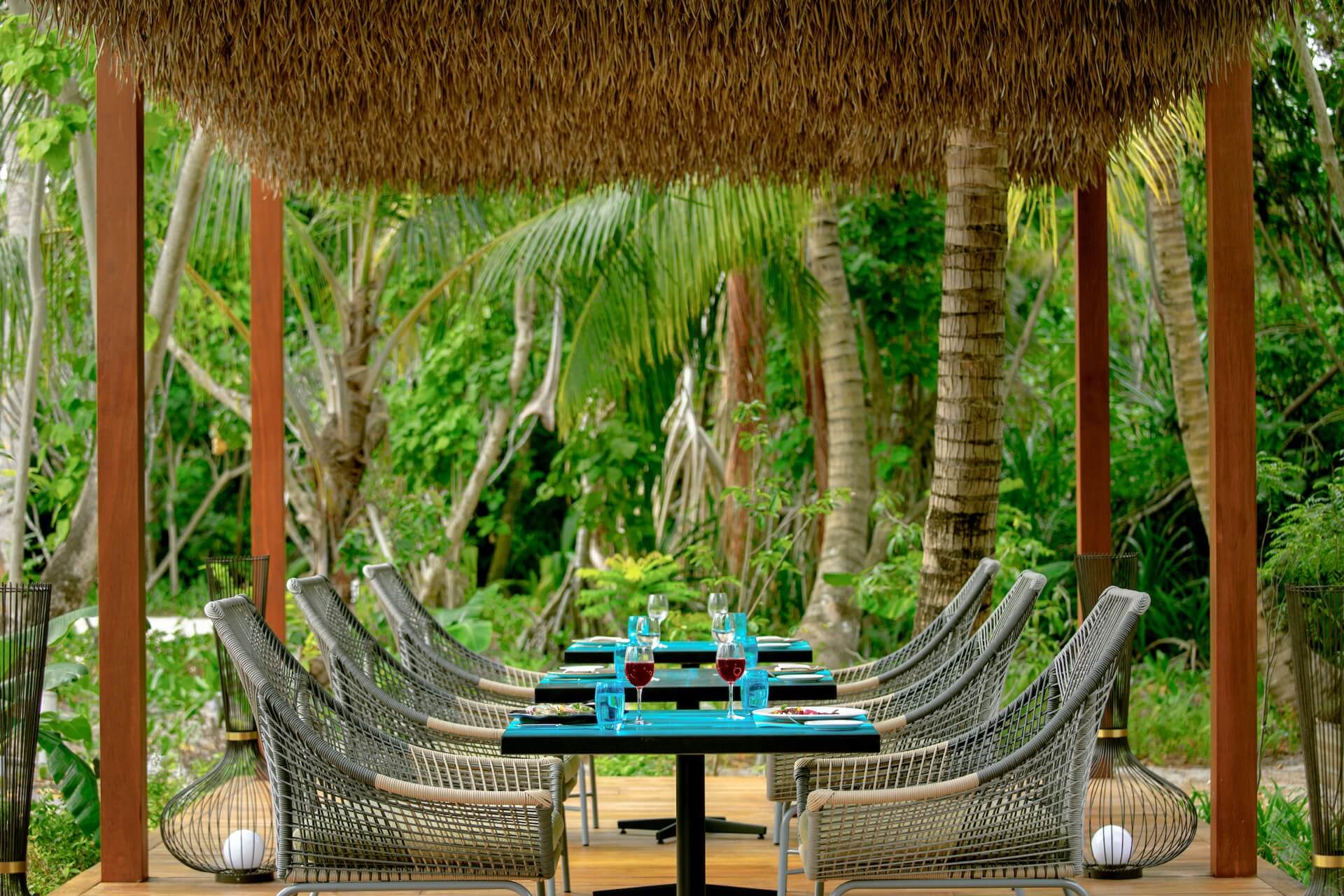 PHAT CHAMELEON  Pullman Maldives Maamutaa