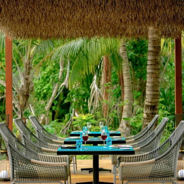 PHAT CHAMELEON Pullman Maldives Maamutaa