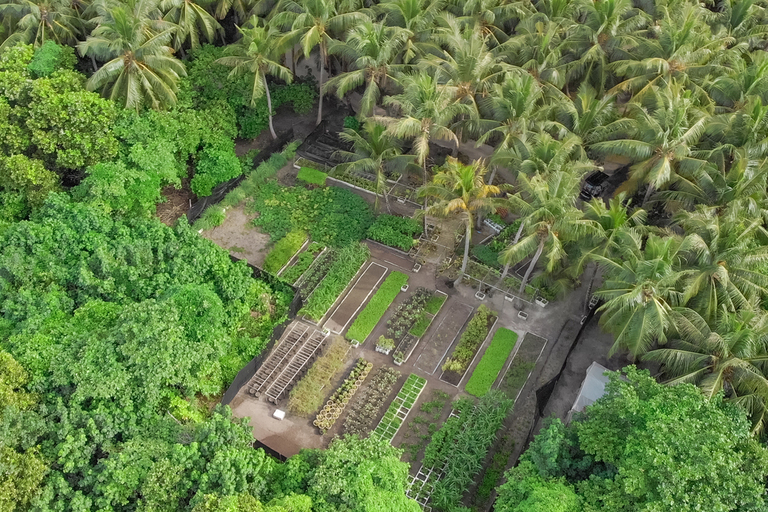 Vakkaru Maldives Organic Farm Aerial